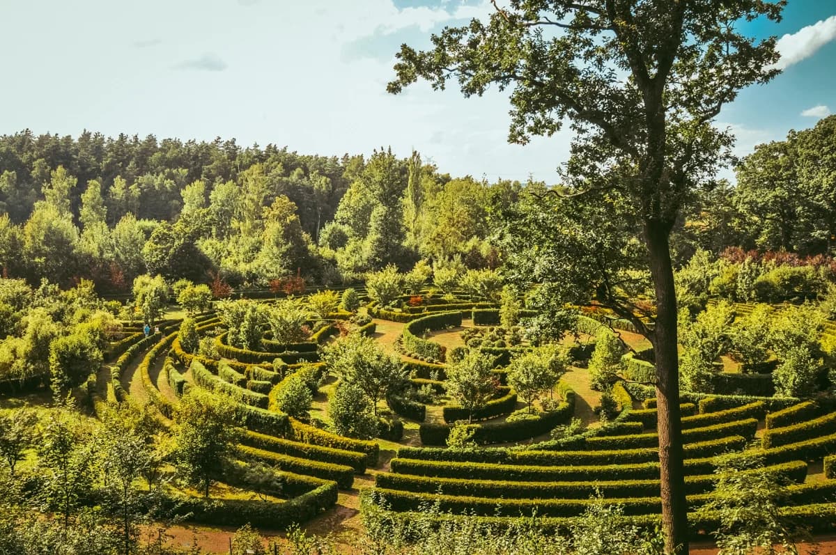 Zaczarowany Ogród w Arboretum Bramy Morawskiej